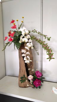 探春上海植物園 二十一項花藝工程的匠心與自然之美