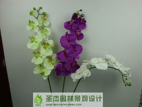 從創(chuàng)意到景觀 沈陽仿真花產(chǎn)業(yè)的全面供應(yīng)與藝術(shù)實(shí)踐