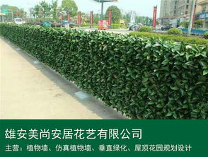 仿真植物墻 雄安美尚安居景觀工程的設計、施工與價格指南